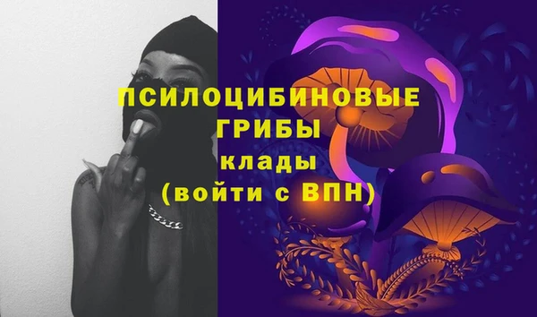ECSTASY Алзамай