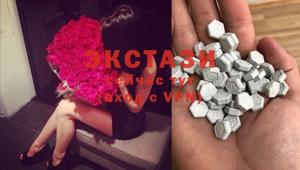 ECSTASY Алзамай